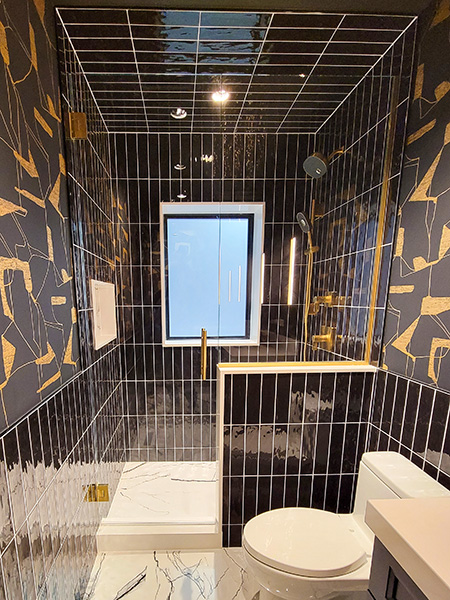 Chicago Glass Frameless Shower Doors and Inline Panel