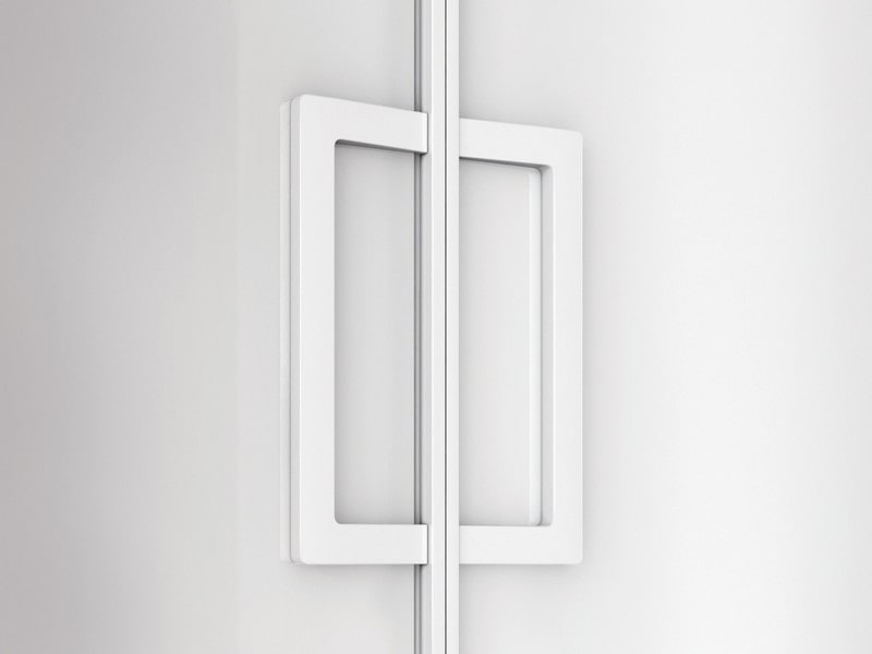 Chicago Glass Raumplus Dual Sided Door Systems